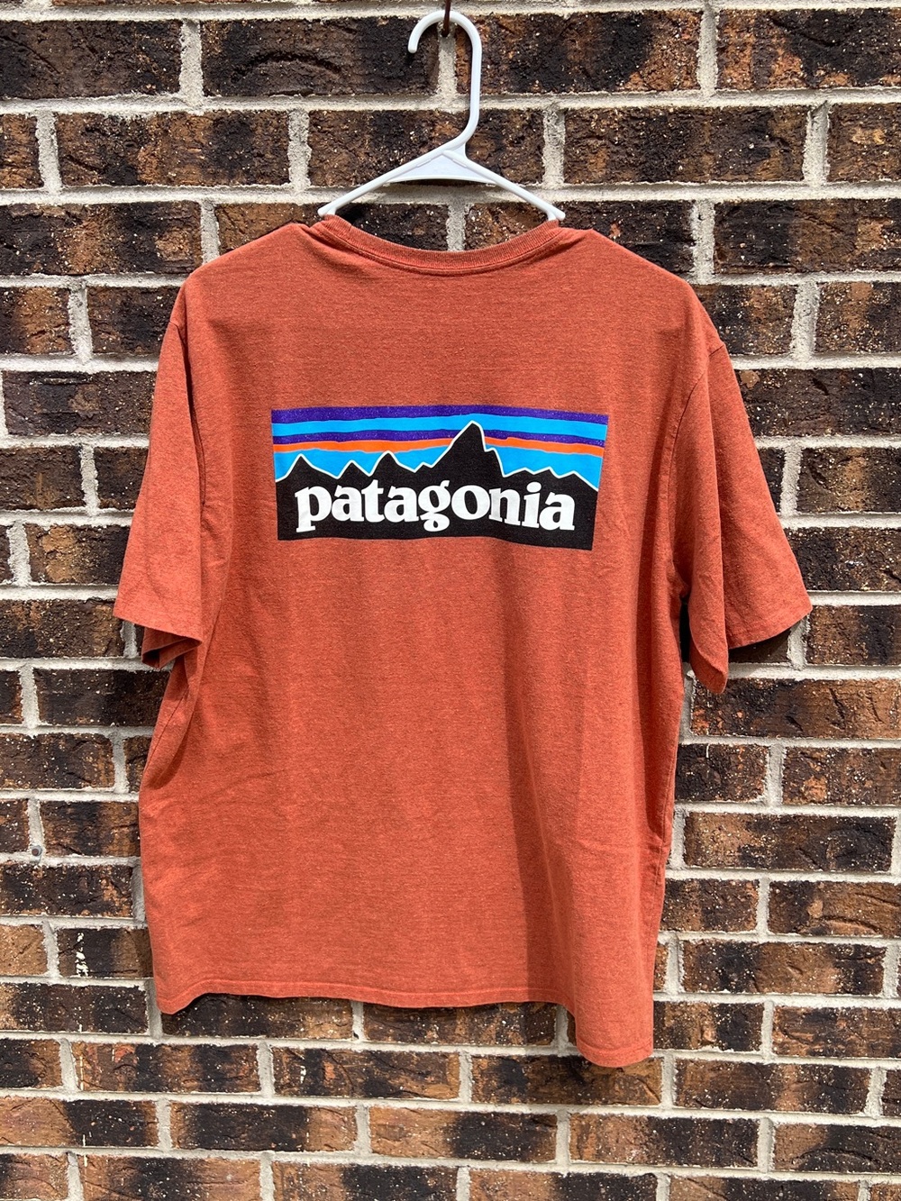 Patagonia Rust Logo Short-Sleeve Tee - M